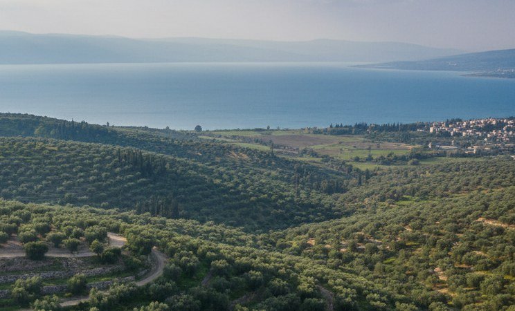 The northern shore of the Sea of Galilee, where Capernaum stands