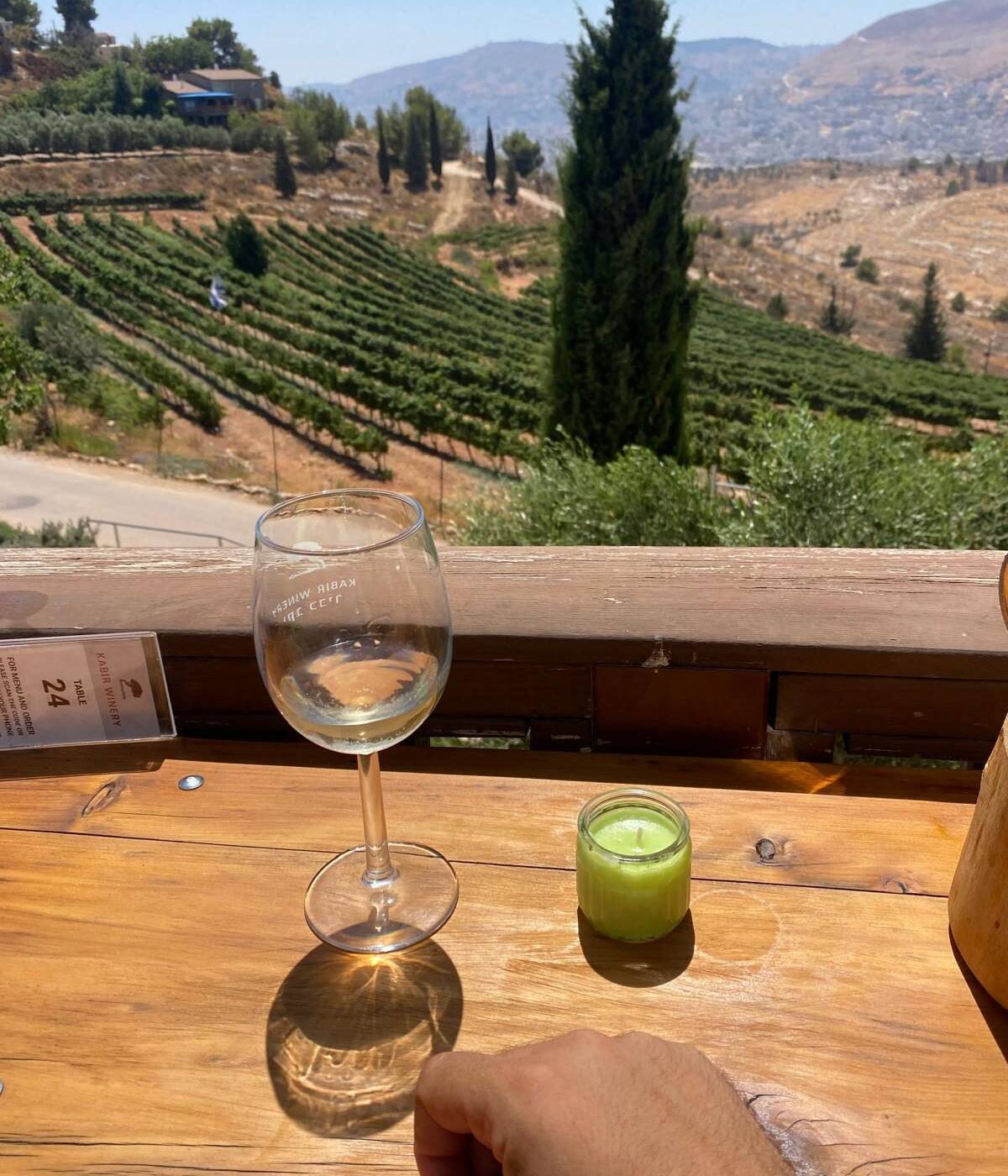 A glass of wine overlooking the vineyards of Samaria