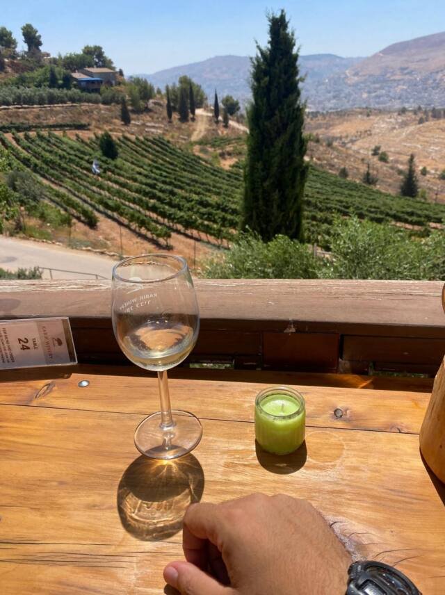 Samaria — Bible & Vineyards