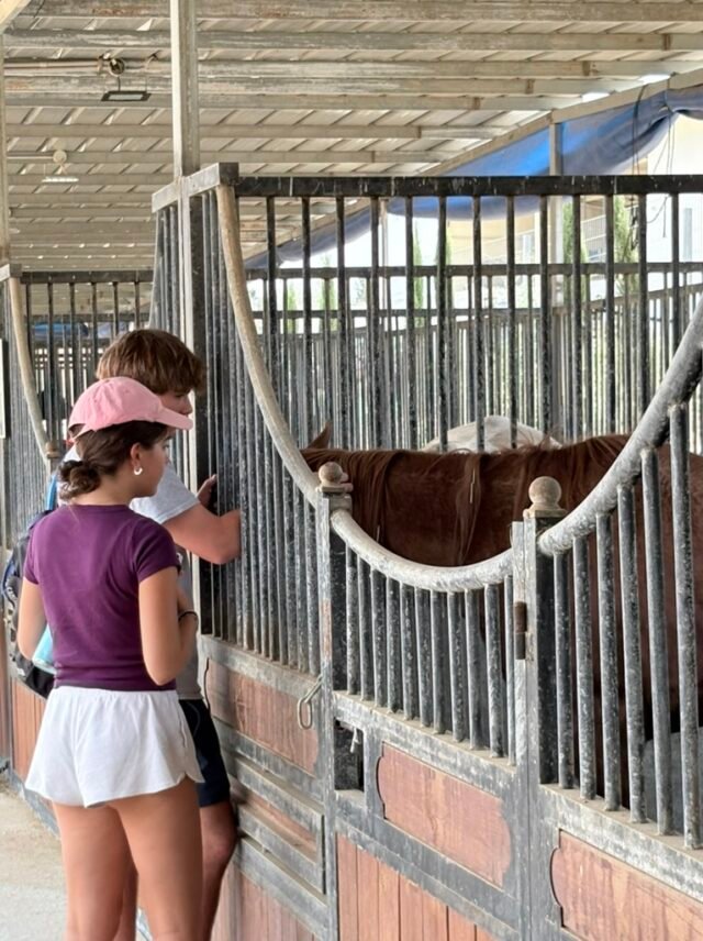 Petting horses in the Negev