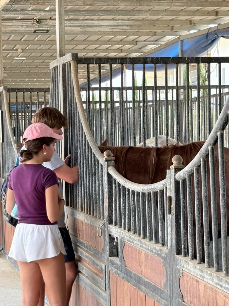 Petting horses in the Negev