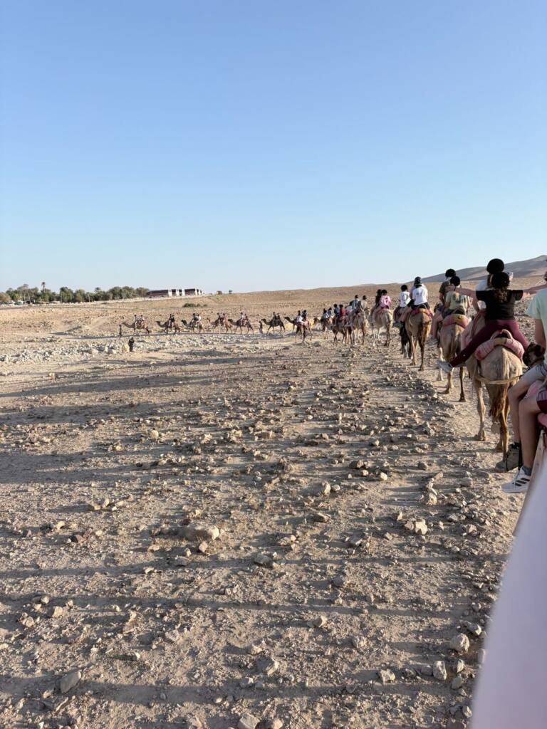 Riding camels in the desert